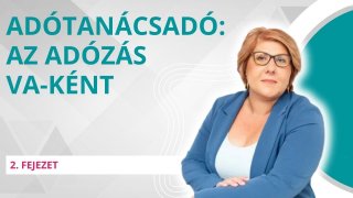 Egy adótanácsadó videója: adózás virtuális asszisztensként