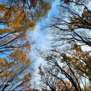 Busznyák-Dudás Éva